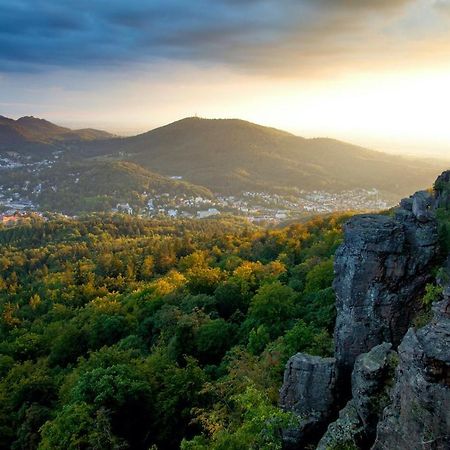 Eckberg Apartment Near City Centre & Nature بادن بادن المظهر الخارجي الصورة
