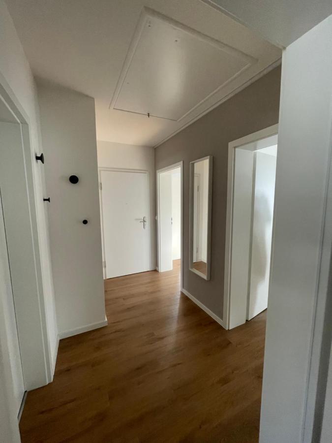 Eckberg Apartment Near City Centre & Nature بادن بادن المظهر الخارجي الصورة