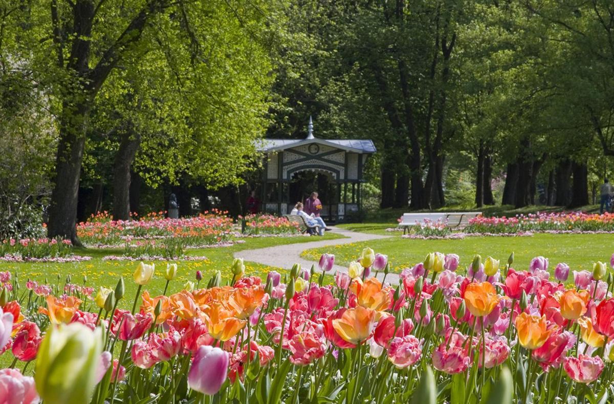 Eckberg Apartment Near City Centre & Nature بادن بادن المظهر الخارجي الصورة